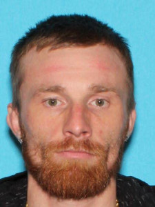Dalton Lee Bickings a registered Sex Offender of Michigan