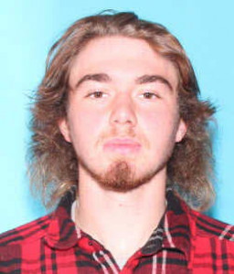 Roy J Gibbons a registered Sex Offender of Michigan