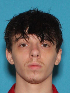 Dennis Emerritt Payne a registered Sex Offender of Michigan