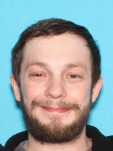 Tyler James Robinson a registered Sex Offender of Michigan