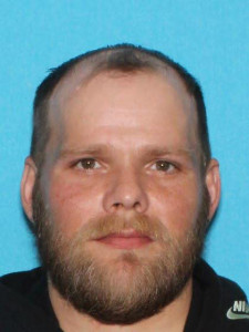 Bryan Carl Vellenga a registered Sex Offender of Michigan