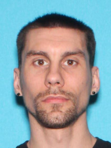 David James Strye a registered Sex Offender of Michigan