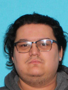 Tj Hulsman a registered Sex Offender of Michigan
