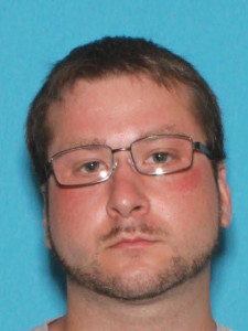 Ronnie Lee Wellington a registered Sex Offender of Michigan