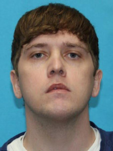 Tyler David Webb a registered Sex Offender of Michigan