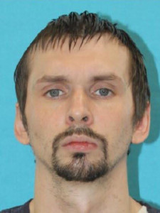 Robert Lewis Gray a registered Sex Offender of Michigan
