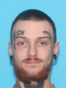 Seth Alan Davis a registered Sex Offender of Michigan