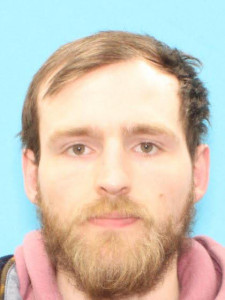 Justan Vern-foster Delbridge-moiles a registered Sex Offender of Michigan