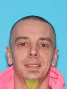 Brian Douglas Mcghee a registered Sex Offender of Michigan