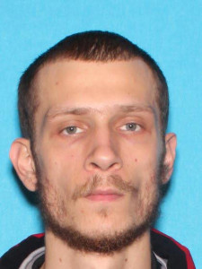 Michael Stevin King a registered Sex Offender of Michigan