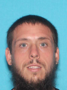 Robert Franklin Risner a registered Sex Offender of Michigan
