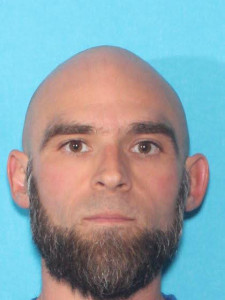 Chad William Elwood a registered Sex Offender of Michigan