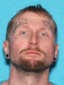 Ryan John Waldschmidt a registered Sex Offender of Michigan