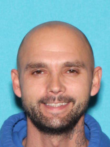 Stephen Carl Jones a registered Sex Offender of Michigan