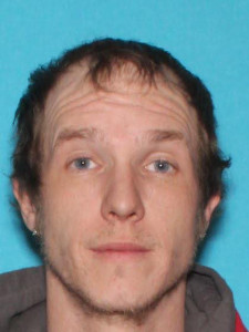 Ryan Paul Lowe a registered Sex Offender of Michigan