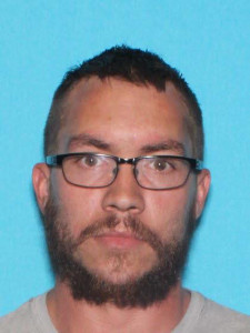 Robert Dale Rich a registered Sex Offender of Michigan