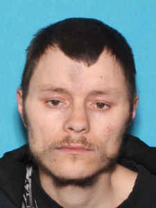 Mark Owen Payne a registered Sex Offender of Michigan