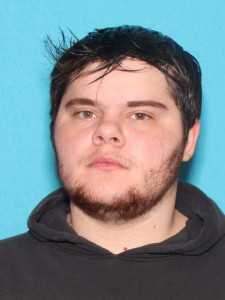 Hailey Ann Mcfadden a registered Sex Offender of Michigan
