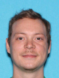 Simon Nicholas Lavalley a registered Sex Offender of Michigan