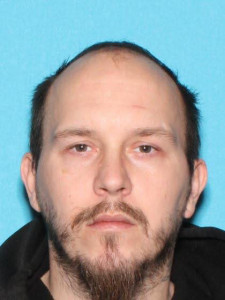 James Elijah-clark Johnson a registered Sex Offender of Michigan