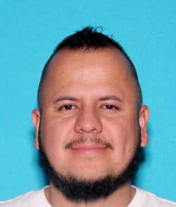 Rony Vladimir Palacios a registered Sex Offender of Michigan