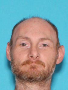 Brian Alan Lesley a registered Sex Offender of Michigan