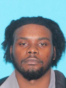 Devin Deshawn Tippins a registered Sex Offender of Michigan