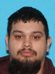 Tyler Scott Ogreen a registered Sex Offender of Michigan