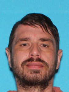 Ryan Lee Johnson a registered Sex Offender of Michigan