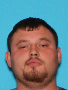 Ryan Lee Stearns a registered Sex Offender of Michigan