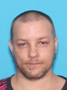Bryant James Singer a registered Sex Offender of Michigan