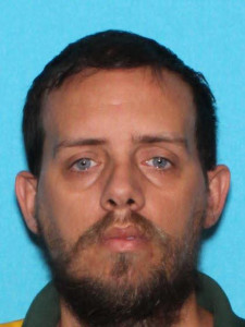 Ryan Adam Decheney a registered Sex Offender of Michigan