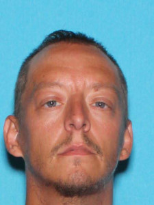 Wayne Thomas Brown a registered Sex Offender of Michigan