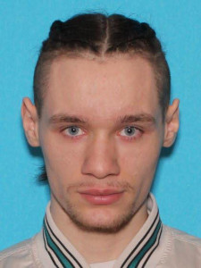 Tyler Andrew Innes a registered Sex Offender of Michigan