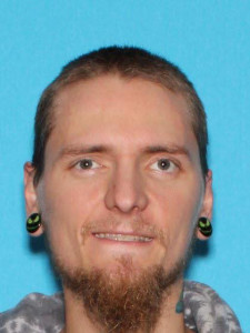 Robert Dwight Ohlinger a registered Sex Offender of Michigan