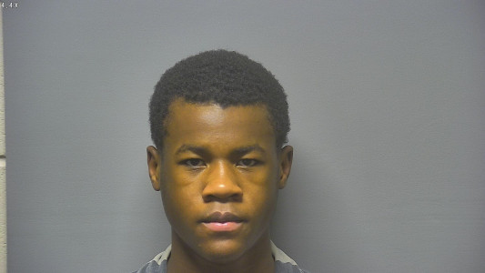 Zion La'von Johnson a registered Sex Offender of Michigan