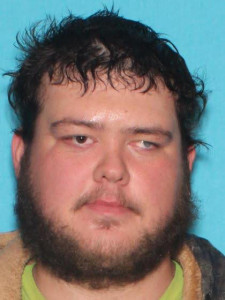 Normann Robert Pittelkow a registered Sex Offender of Michigan