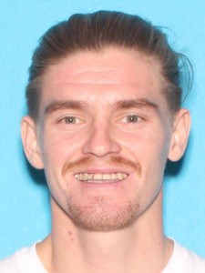 Roman Michael Anderson a registered Sex Offender of Michigan