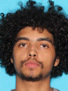 Dimitrious Damond Martin a registered Sex Offender of Michigan