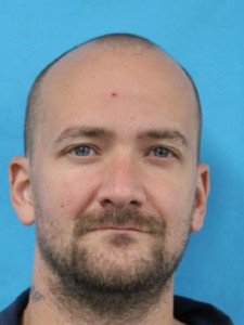 Timothy Allen Brinkley a registered Sex Offender of Michigan