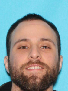 Michael Robert Capizzo a registered Sex Offender of Michigan