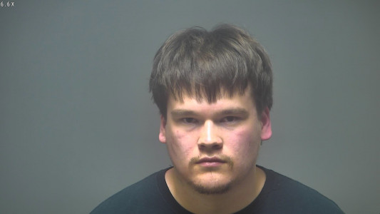 Nicholas David-francis Gossett a registered Sex Offender of Michigan