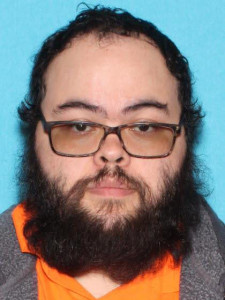 Brandon Wayne Low a registered Sex Offender of Michigan