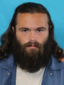 Brandon David Romanowski a registered Sex Offender of Michigan