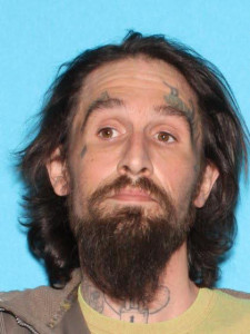 Daniel Charles Stivenson a registered Sex Offender of Michigan