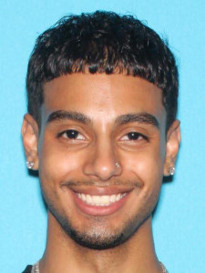 Yaddiel Gerardo Delgado a registered Sex Offender of Michigan