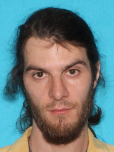 Michael Donavan Green a registered Sex Offender of Michigan
