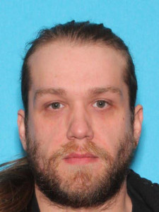 James Patrick Hansen a registered Sex Offender of Michigan