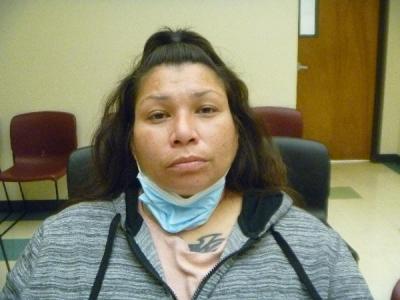 Blossom Rosanna Billie a registered Sex Offender of New Mexico