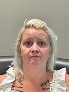 Robin Anita Wyatt a registered Sex Offender of South Carolina